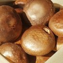 현주농장 이미지