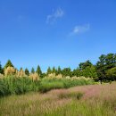 청산수목원