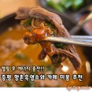 향촌농장 | 캠핑후 에너지 충전! 증평 향촌흑염소 카페 미몽 추천