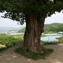 반곡지마을 이미지