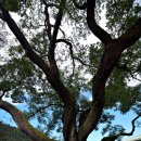 삼강여관 | 경북 예천 여행 [삼강주막]