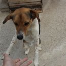 성산게스트하우스킴스캐빈 이미지