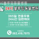 24시 블루밍 동물병원 | 북구 동물병원 24시블루밍동물병원 일기