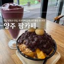 베스트올(양주백석점) | 옛날 팥빙수 맛집 양주 백석 카페 팜카페