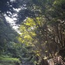 숲속의아침3 | 국내여름여행지지 추천 사천케이블카 구재봉자연휴양림 숲속의집 3호 숙박 후기