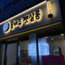 101 애견미용 이미지