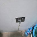 푸루지오 이미지