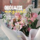 메이씨엘 이미지