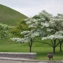 석빙고