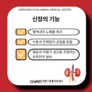 목동찬동물의료센터 이미지