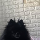 괜찮아 딩딩딩