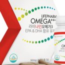 팜 라이프 이미지