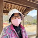 옐로우힐링협동조합 이미지