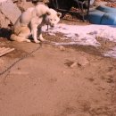 중동2리 이미지