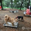 같이 이미지