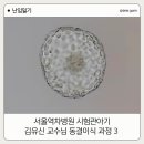 장군약국 | 서울역차병원 김유신교수님 장군님반 시험관 아기 동결배아 이식과정 - 대망의 이식일!
