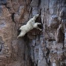 크림슨빌딩 앞 | [SYDNEY⑥] 시드니 록스마켓, 요아정 상위호환 요치, 블루마운틴 투어 비오는 날 후기(은하수 보기 성공)