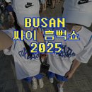 2025 싸이 흠뻑쇼 부산 옷 준비물, 티켓팅, 일정