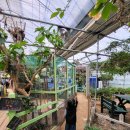 허브 | 화성 실내 모래놀이터 아기랑, 원평허브농원 겨울 후기