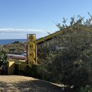 주식회사순천미향제주산방산본점 | 제주 서귀포 맛집 순천미향 제주산방산본점 순살갈치조림 후기 주차 예약 웨이팅 정보