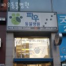 파우 동물병원 이미지