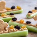 개미통나무 이미지