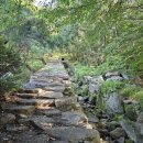 신어산 산림욕장 이미지