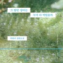 (주)웅진통신 이미지