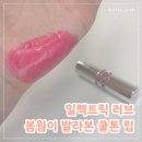 샤인광고디자인 | 입생로랑 러브샤인 립스틱 12 일렉트릭 러브, 봄웜톤이 써본 후기