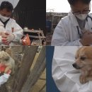 이규호농장 이미지