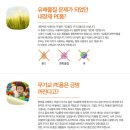 보노클린 이미지