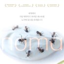 노마 이미지
