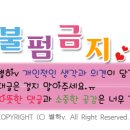 티엔티 컴퍼니 이미지