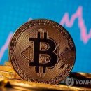 동원세탁 이미지