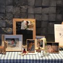 데얼 스테이 이미지