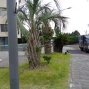 토평동-2 이미지