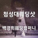 백경희웨딩컴퍼니 이미지