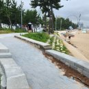 속초해수욕장 이미지