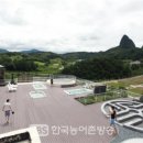 (주)한국고려홍삼조합 이미지