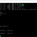 python을 설치하다... 이미지
