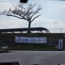 오키나와로 여행을 떠나요 | [근황] 2월 돌아보기 : 과장 승진 / 임신후기 돌입 / 임장을 떠나요 / 오키나와 태교여행 등