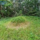 금성초등학교금계분교장 이미지