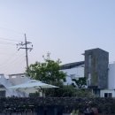 소락뜨레 이미지