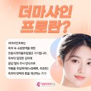 프로샤인