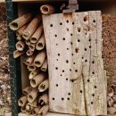 더플레이스34 | 해운대호텔 더플레이스34 향기 좋은 객실