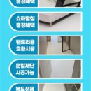 뜰37 이미지