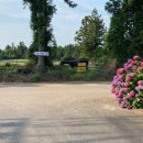 제주스카이라인휴양펜션 이미지