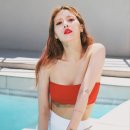 워터도트 이미지
