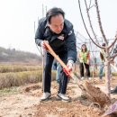 감사나무 이미지