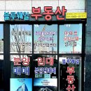 블루웨일부동산공인중개사사무소 이미지